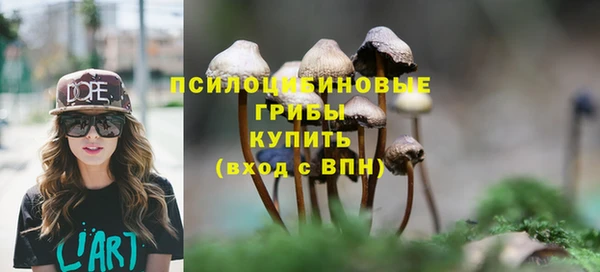 бошки Абинск